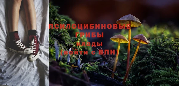 марки lsd Бородино