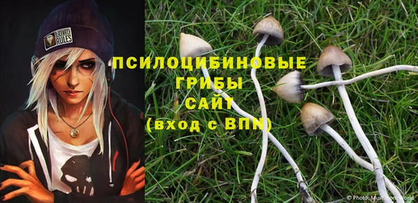 прущий лед Бронницы