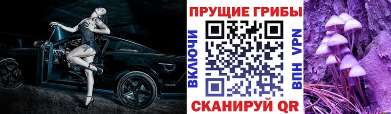 МЕГА зеркало  Крым  Галлюциногенные грибы MAGIC MUSHROOMS 